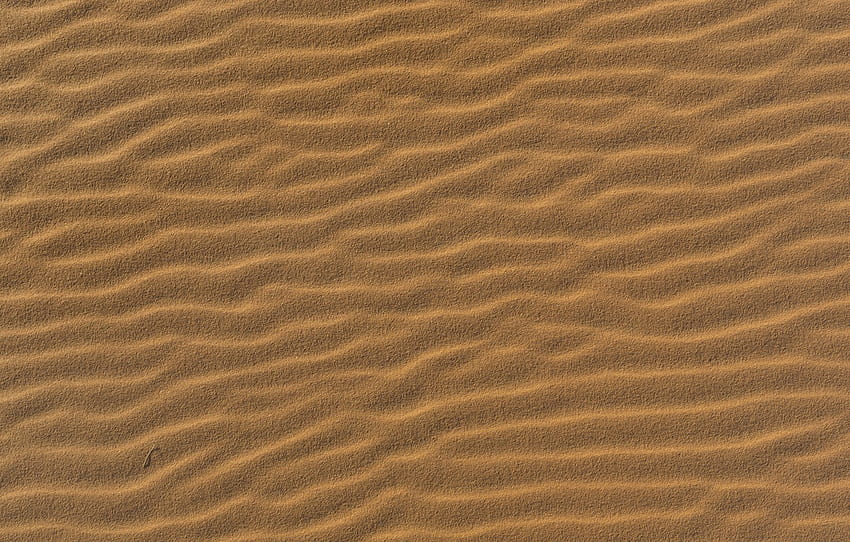 beach, desert, Sand, texture, grit for , section текстуры HD wallpaper