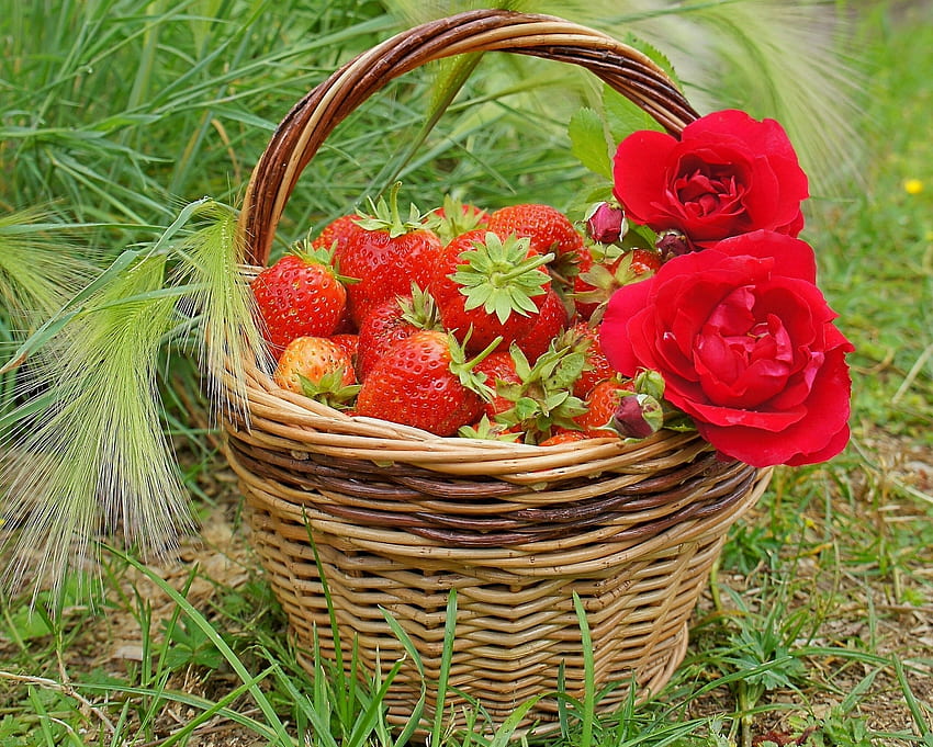 Food, Strawberry, Roses, Berries, Basket HD wallpaper