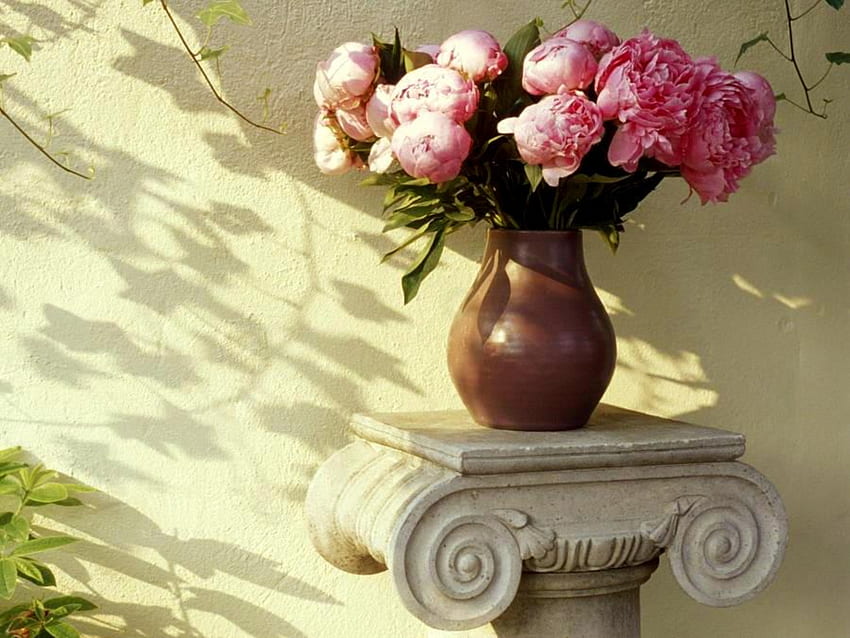 In The Shadows, peonies, sunlight, peony, vase, shadows, pink peonies, flowers, wall, pedestal HD wallpaper