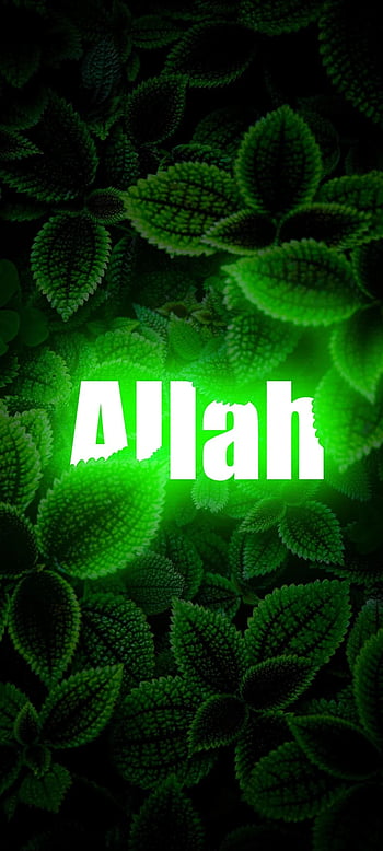 Allah names HD wallpapers | Pxfuel