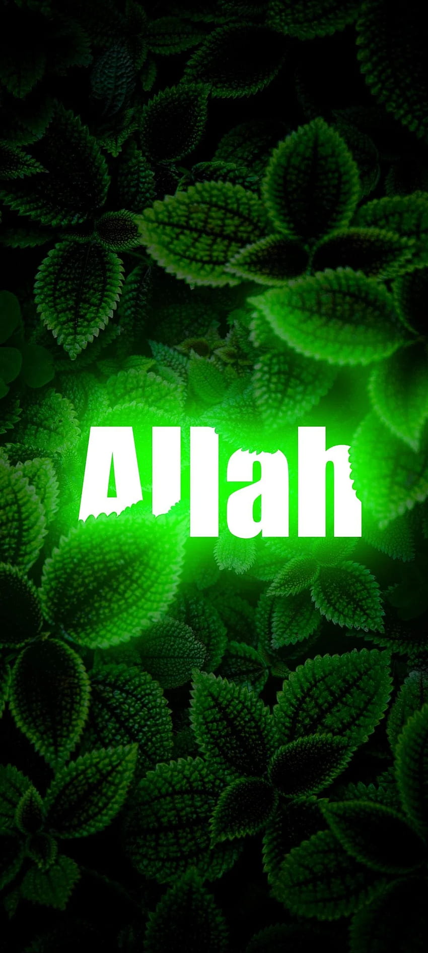 Allah Name , Allah Is Watching Me HD phone wallpaper