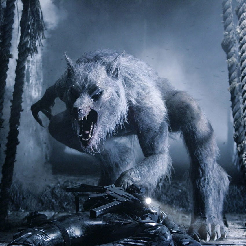 Werewolf Transformations: 4 Types of Wolf Modes. Ghosts & Monsters ...