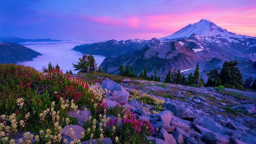 The Cascade Mountains, Mount Baker, Washington State, flowers, sky, sunset, usa, landscape, colors, rocks, stones, fog, volcano, trees HD wallpaper