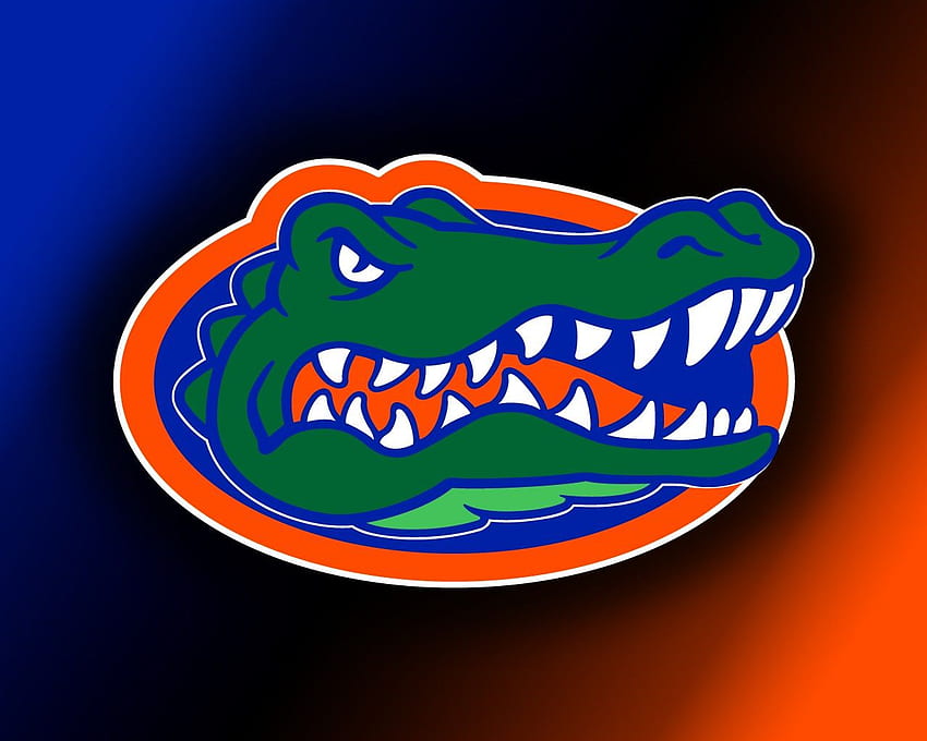 Florida gator. Florida gators , Florida gators football, logo Gator Wallpaper HD