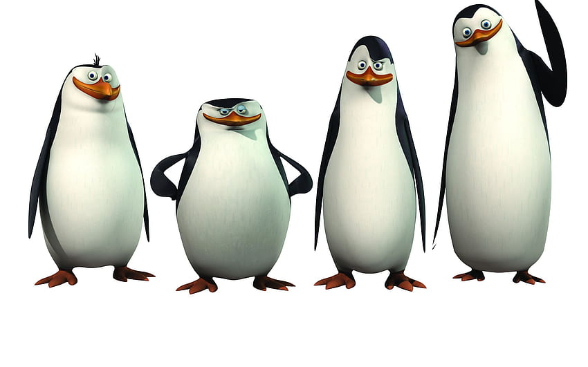 penguin, Dari, Madagaskar, Animasi, Komedi, Petualangan, Keluarga, Penguin, Kartun / dan Latar Belakang Seluler Wallpaper HD