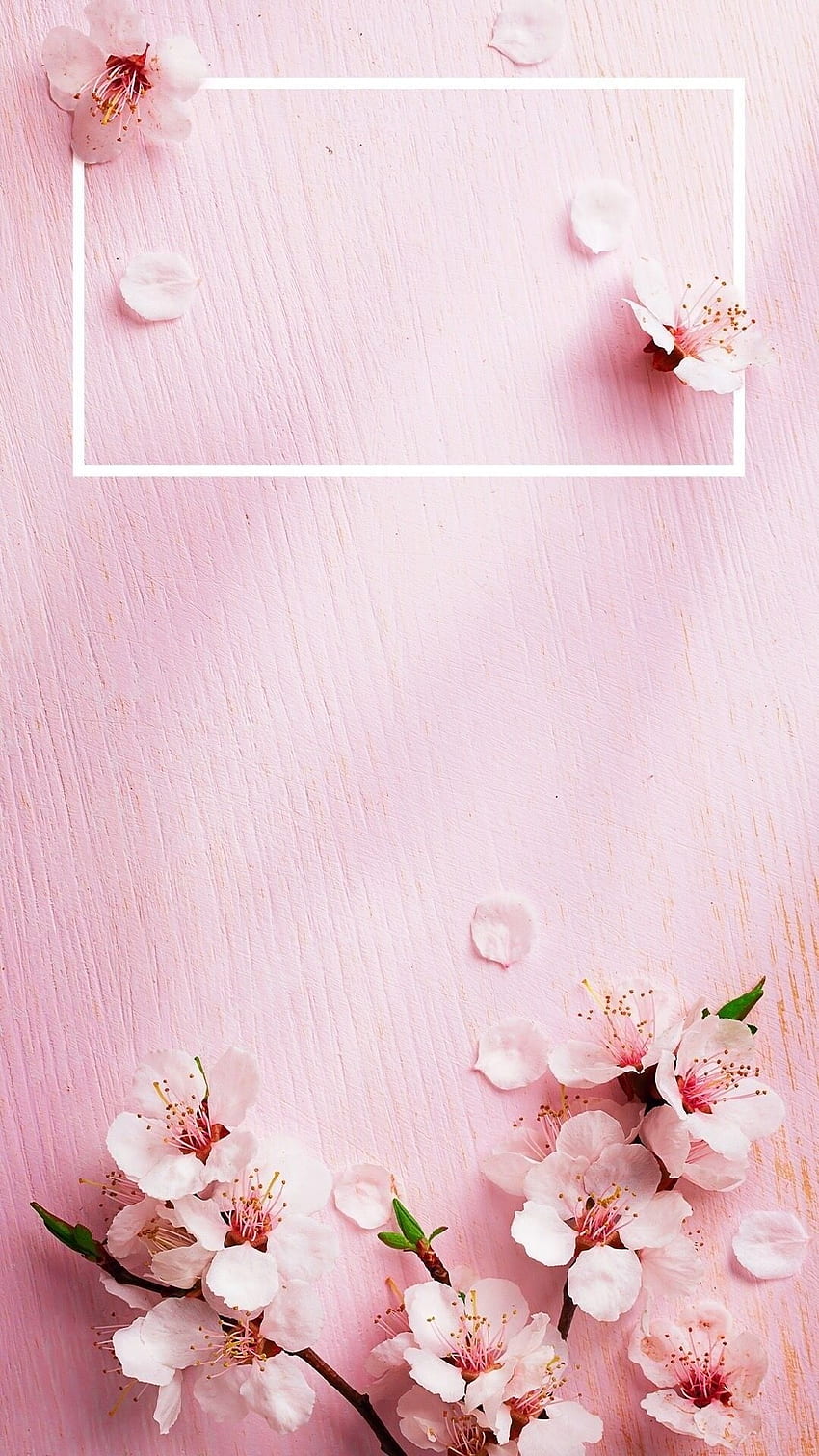 Ideas For Rose iPhone Aesthetic Background Tumblr Rose Gold Flower, Cute Aesthetic Rose HD phone wallpaper