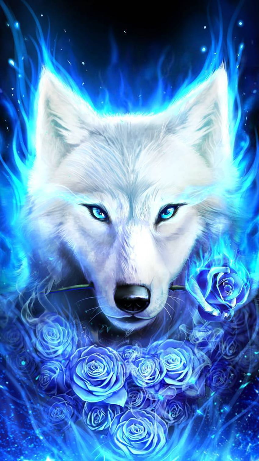 Blue wolf HD phone wallpaper