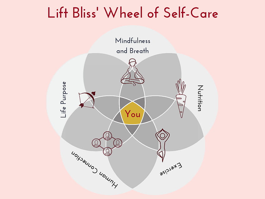 The Wheel Of Self Care: Scientifically Back Strategies HD wallpaper