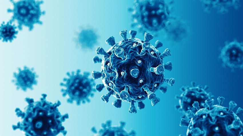 Wyciąg z wodorostów przewyższa Remdesivir w blokowaniu wirusa COVID 19 w badaniach komórkowych, wirusy Tapeta HD