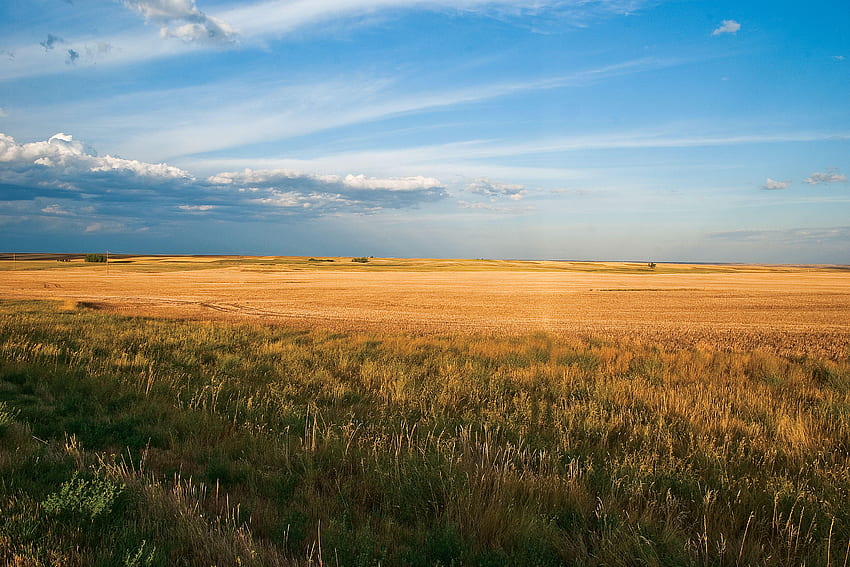 Prairies , Alberta Prairies Fond d'écran HD