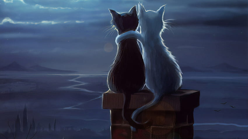 Zwei Katzen auf einem Dach-Laptop voll, Hintergrund und Katzenliebe HD-Hintergrundbild