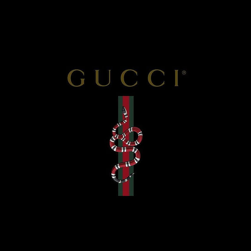 Gucci Snake , Gucci Snake Logo HD phone wallpaper | Pxfuel