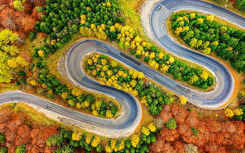 serpentinas de estrada, estrada sinuosa, vista aérea, verão, bela natureza, floresta, R, floresta seca papel de parede HD