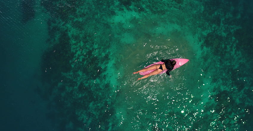 Surfer, float, bikini, women HD wallpaper