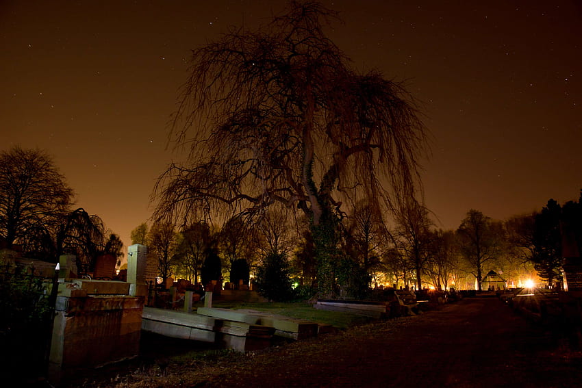 cemetery, dark, graveyard, night, spooky, sullen, tree HD wallpaper