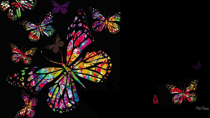 Kelebek Tasarımı III, soyut, kelebekler, yaz, renkli, siyah, parlak, papillon, bahar HD duvar kağıdı