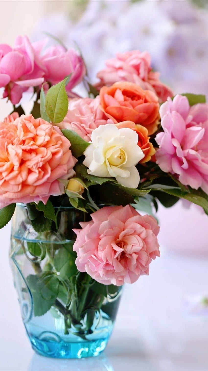 Natura morta, Rose, Vaso Composizione floreale IPhone 8 7 6 6S Sfondo del telefono HD