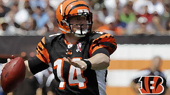 Bengals Wallpapers  Cincinnati Bengals 