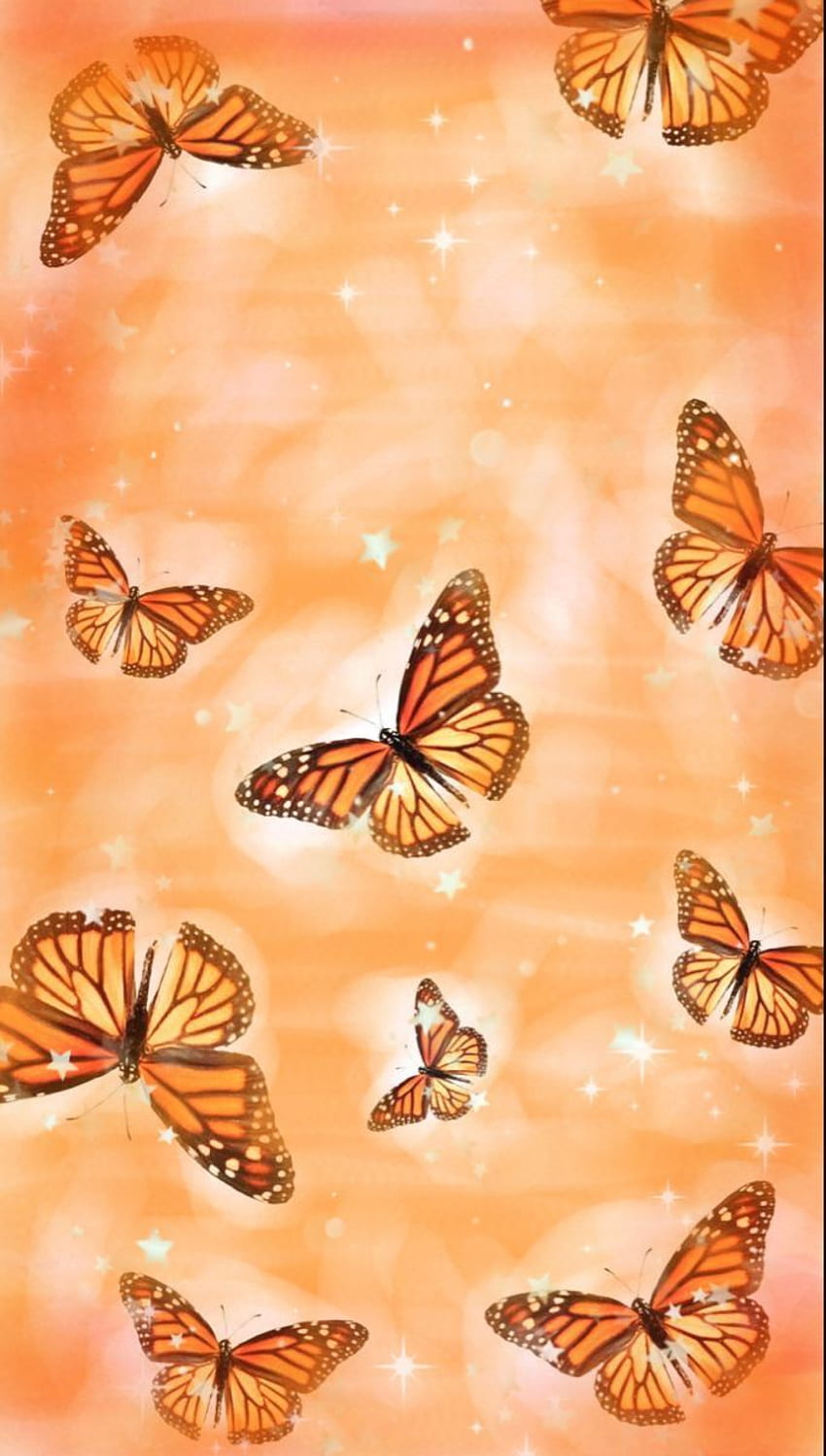 Orange aesthetic . Orange , Cute patterns , Pretty, Orange Butterfly HD phone wallpaper