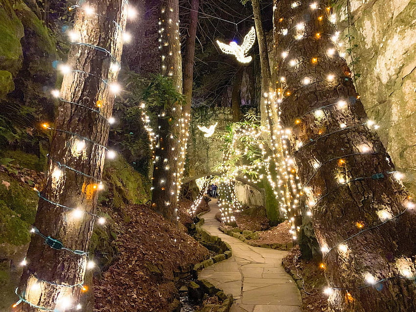 Best Holiday Lights and Tree Displays Near Atlanta, Christmas Farm HD wallpaper