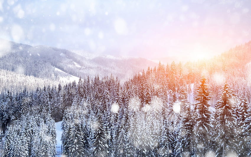 Winter-snow, Winter, Mountains, Forest, sunset HD wallpaper