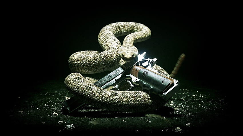 Snake And Gun For - Dont Tread On Me Tapeta HD