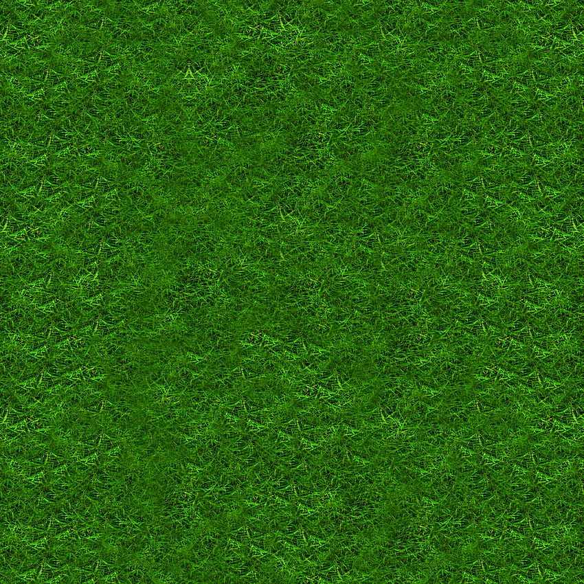 Grass Paper Designs, Cartoon Grass HD phone wallpaper | Pxfuel