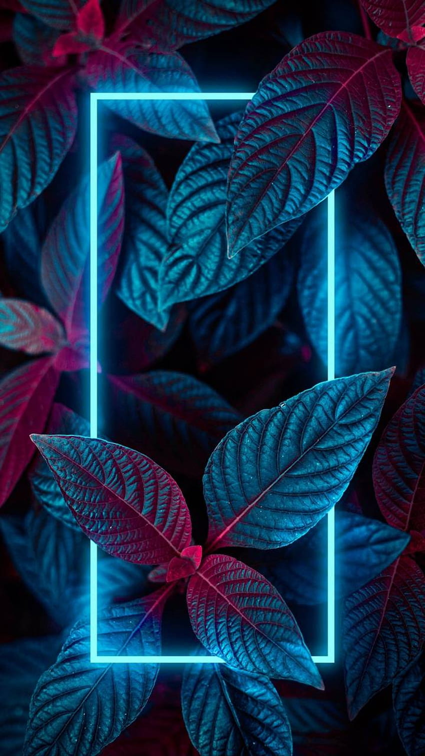 Aesthetic Neon Leaves .novocom.top, Nature Neon HD phone wallpaper