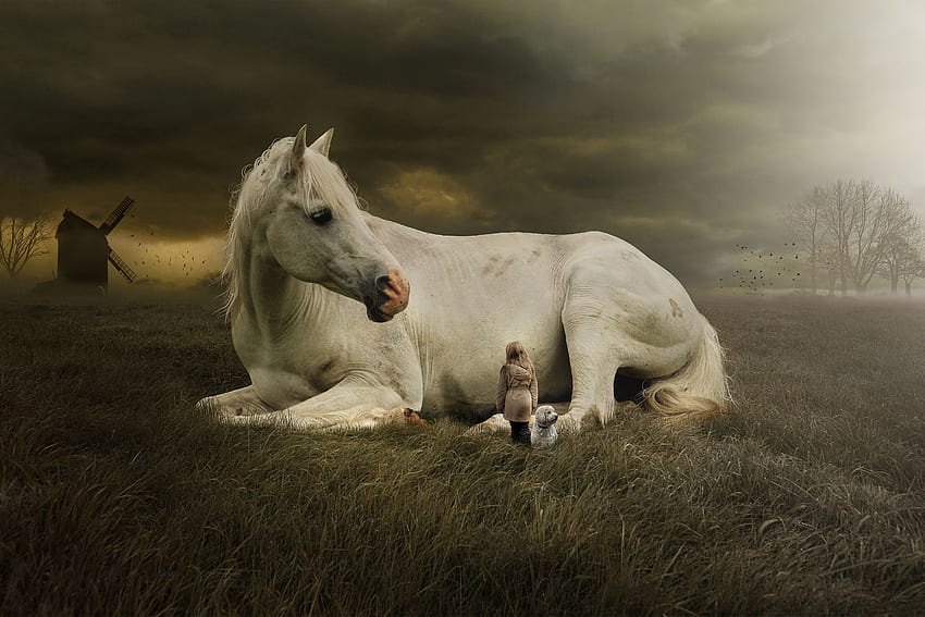 White horse, Cute girl, Cute dog, Landscape, Dream HD wallpaper
