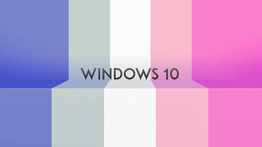 Windows 10 Rosa Bmp Público fondo de pantalla