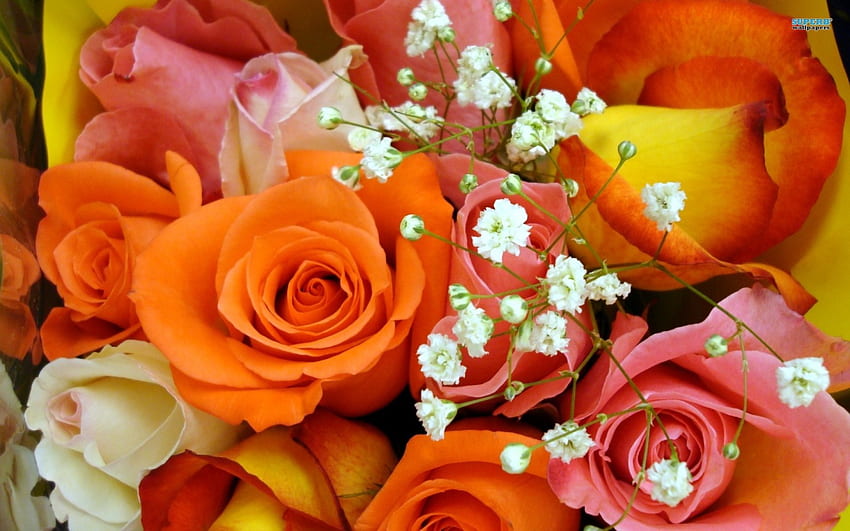 R For Rose, rose, colorful, bouquet, flowers HD wallpaper