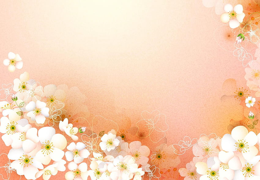 Peach flowers backgrounds HD wallpapers | Pxfuel