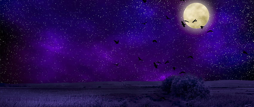 full moon, starry sky, birds, Cartoon Night Sky HD wallpaper