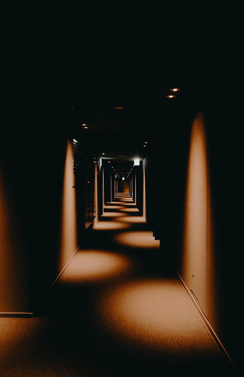Dark, Shine, Light, Illumination, Corridor, Lighting, Tunnel HD phone wallpaper