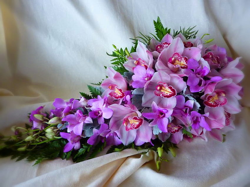 Piękno orchidei, fioletowe, zielone liście, zasłony, kwiaty, storczyki Tapeta HD
