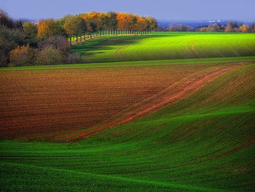 Campo de granja de otoño, árboles, verde y marrón, hermoso paisaje, paisaje marrón fondo de pantalla