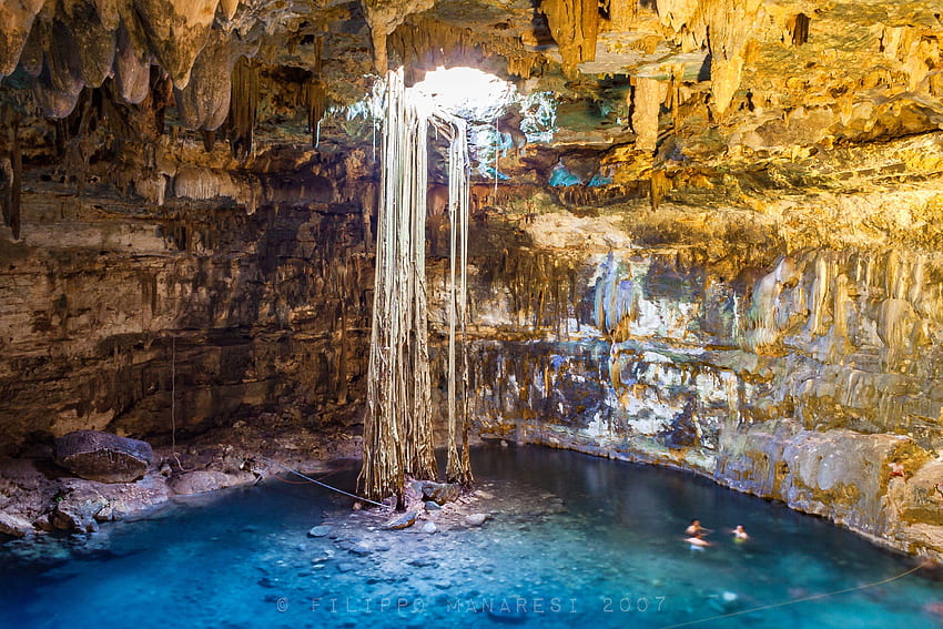 Water Lilies in a Cenote, Yucatan, Mexico | Lily painting, Water lilies,  Beautiful landscape wallpaper