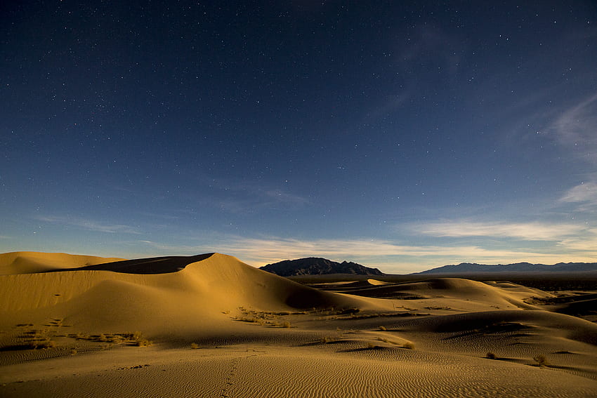 Nature, Desert, Starry Sky, Dunes, Links, Sands HD wallpaper