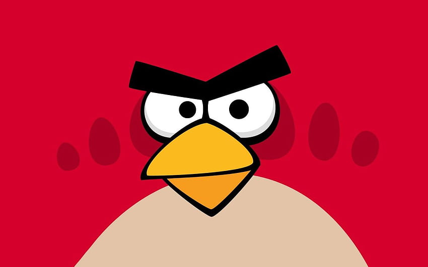 Red, angry birds, game, games . Red, angry birds, game HD wallpaper