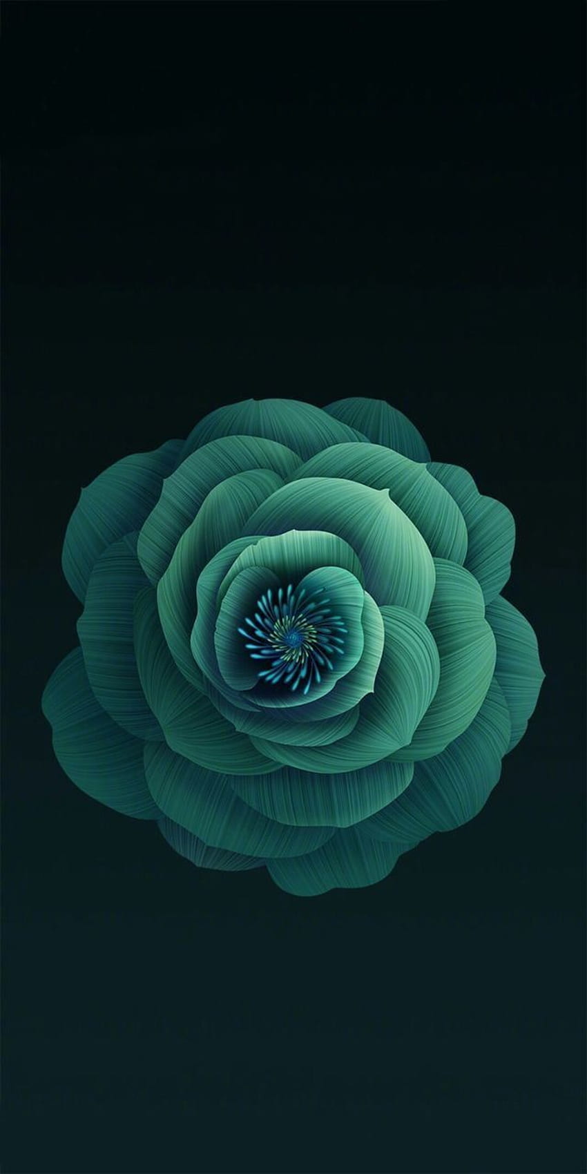 ไอโฟน. Succulents , Xiaomi , Turquoise , Dope ดอกไม้ วอลล์เปเปอร์โทรศัพท์ HD