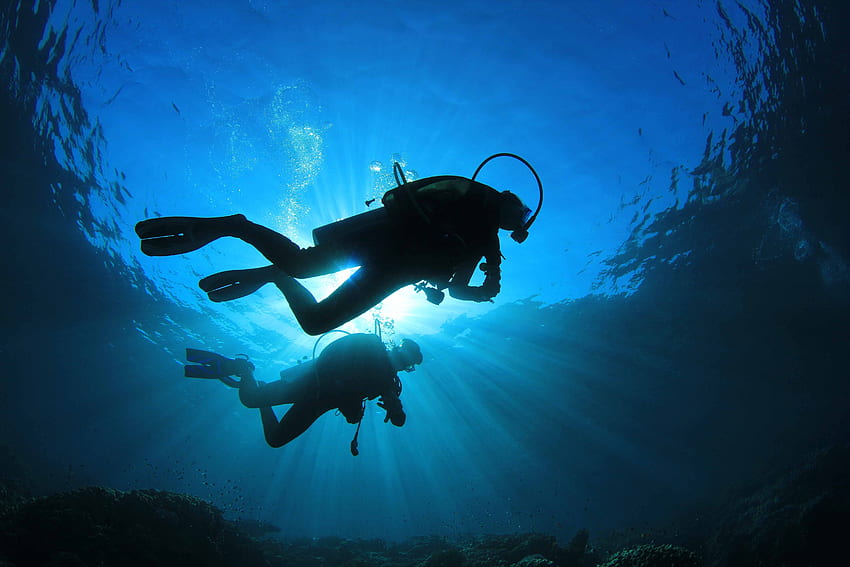 Penyelam scuba menyelam laut di bawah air. Wallpaper HD