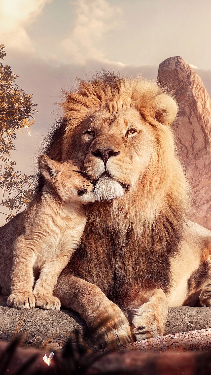 Lion and, Cub, phone , , Background, and . Mocah HD phone wallpaper