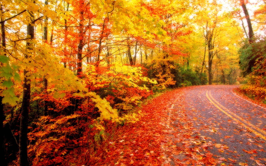 Beautiful autumn Mac Wallpaper Download  AllMacWallpaper