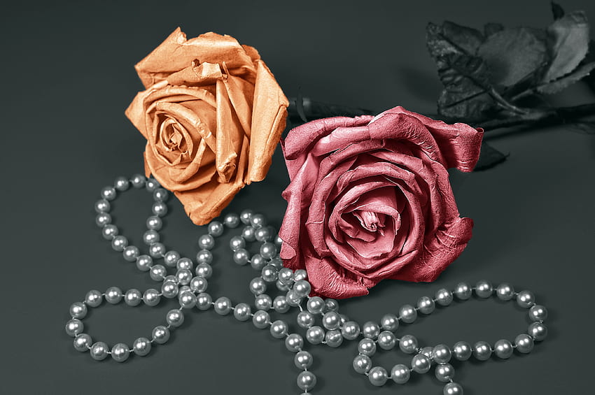 Flowers, Rose Flower, Rose, Beads, Decoration HD wallpaper