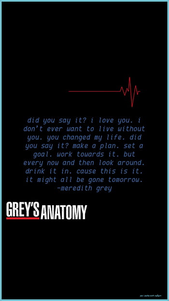 Greys Anatomy Wallpaper  Greys anatomy Grey anatomy quotes Greys anatomy  funny