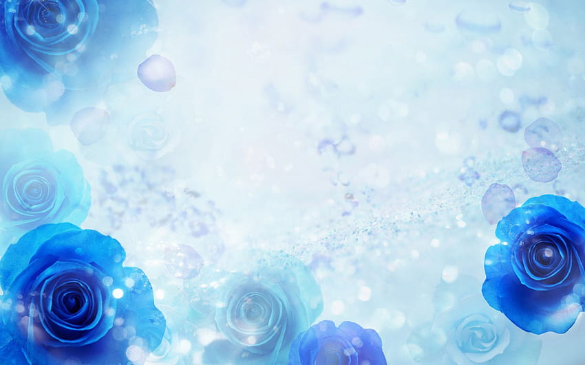 Blue Rose Background - & Background, Blue and White Rose HD wallpaper