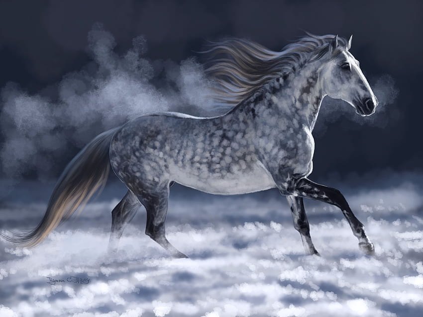 구름 위를 달리는 멋진 반점이 있는 멋진 Dapple 회색 말입니다. Dapple gray horses, 말과 개, 말, Dapple Gray Horse HD 월페이퍼
