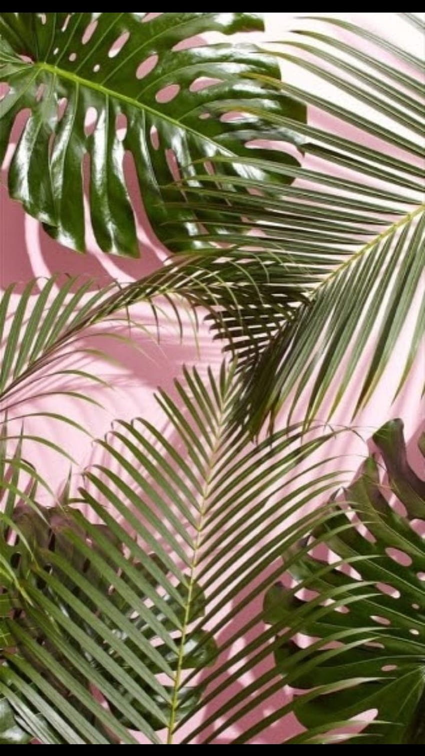 about tumblr in aesthetic iPhone, Pink and Green Aesthetic HD phone wallpaper