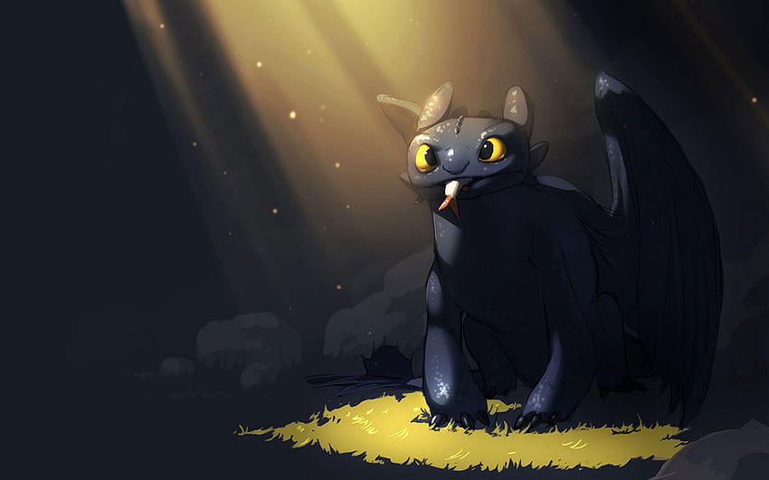 How To Train Your Dragon Toothless, Alpha Dragon HD wallpaper