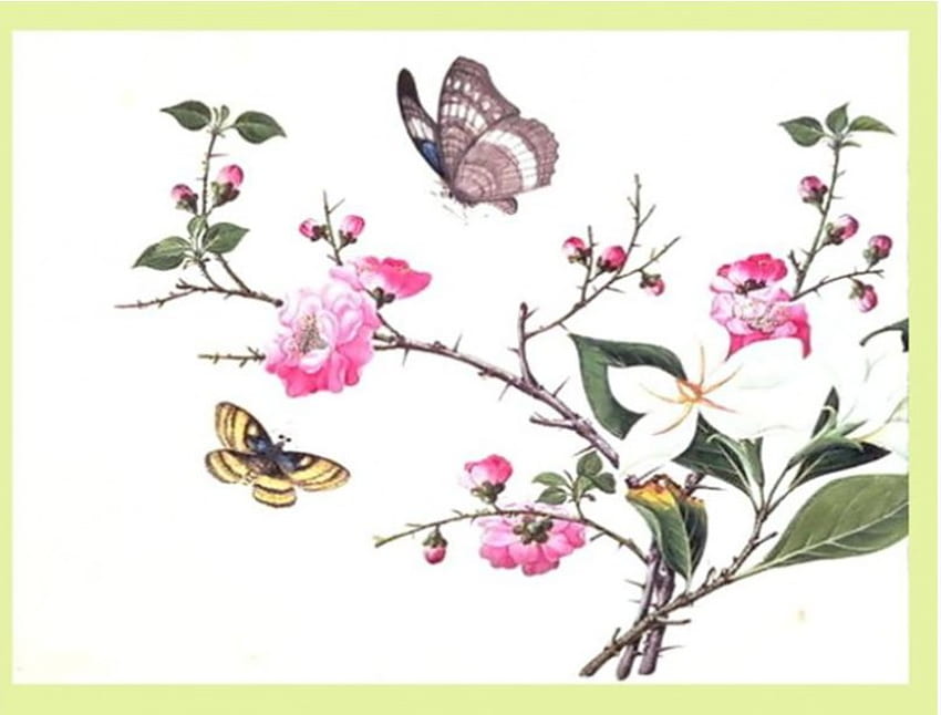 Butterfly Art, butterflies, print, flowers, art HD wallpaper